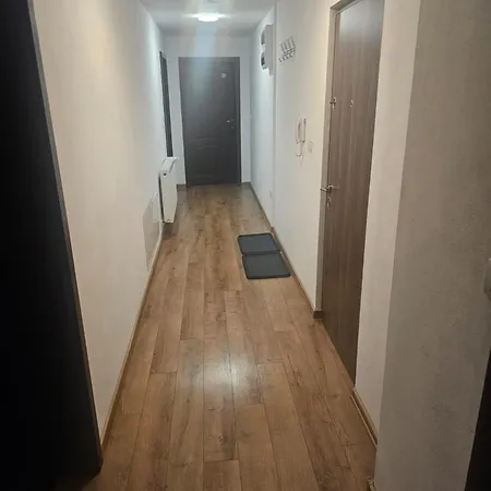 Schöne Vollausgestattete Monteurs- Gästewohnung In Der Gartenstadt Und Nähe Geiseltalsee Für 4 Personen 2409 Apartment