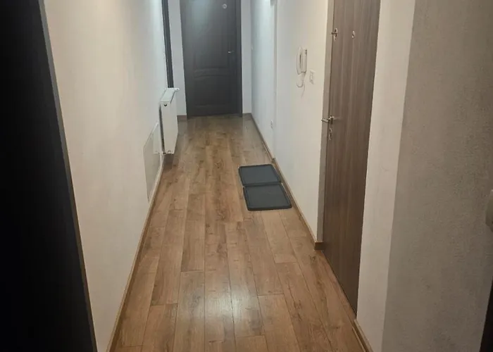 Schoene Vollausgestattete Monteurs- Gaestewohnung In Der Gartenstadt Und Naehe Geiseltalsee 2409 Apartment